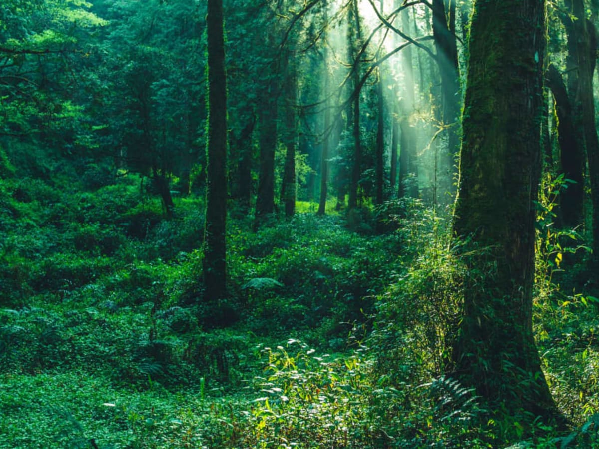 넓게 보는 영어